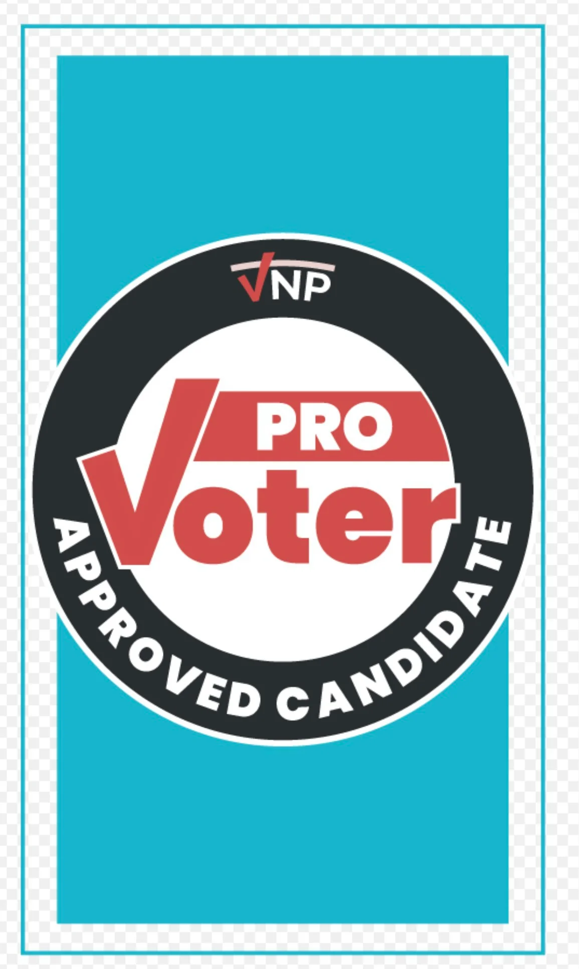 Voters Not Politicians